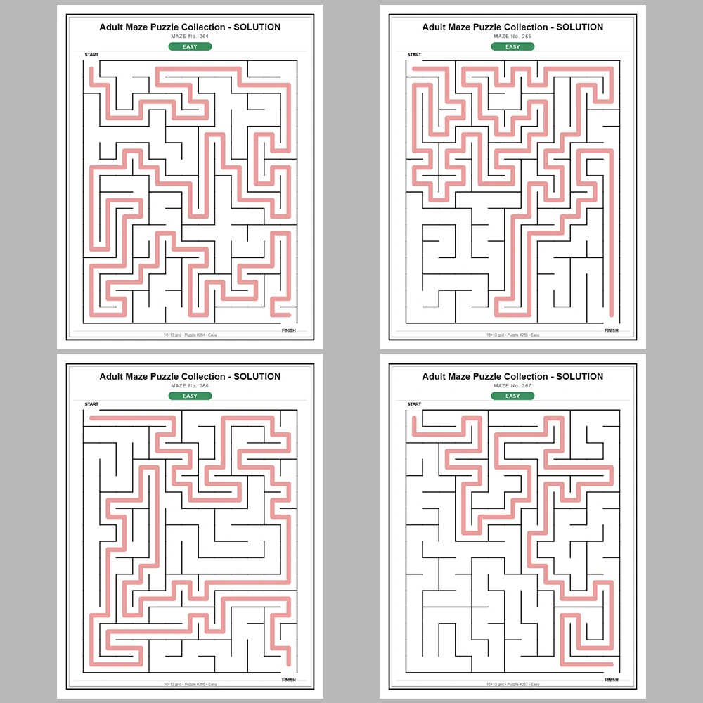 Maze Puzzle Easy 250 Pages of Puzzles – Vol. 2