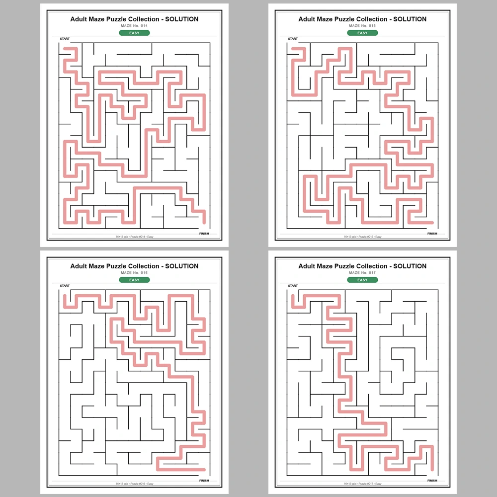 Maze Puzzle Easy 250 Pages of Puzzles – Vol. 1