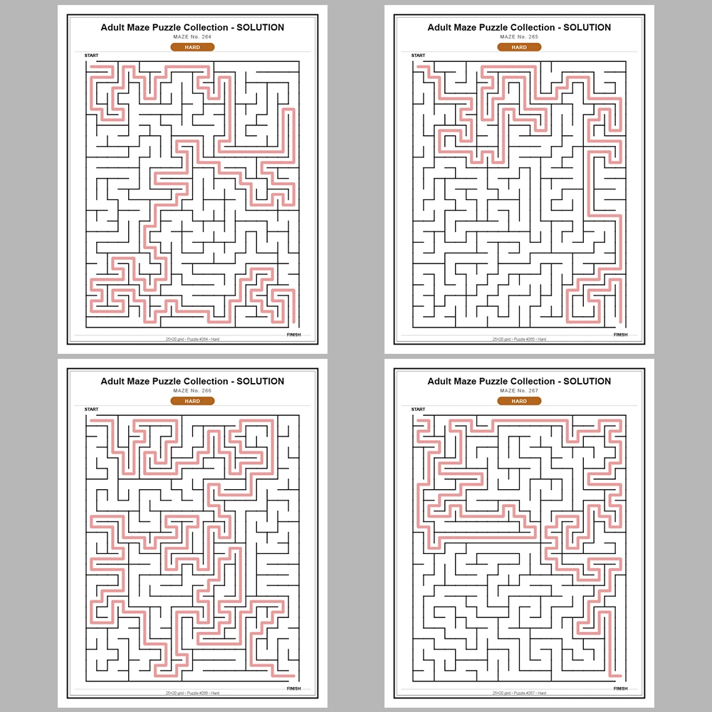 Maze Puzzle Hard 250 Pages of Puzzles – Vol. 2