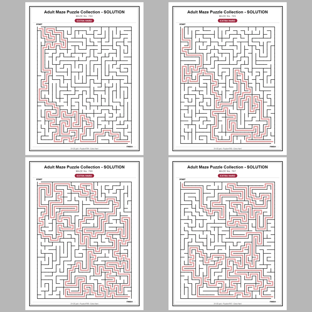 Maze Puzzle Extra Hard 250 Pages of Puzzles – Vol. 4