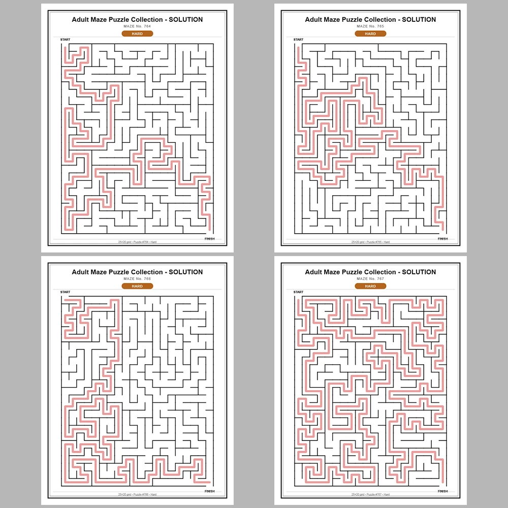 Maze Puzzle Hard 250 Pages of Puzzles – Vol. 4