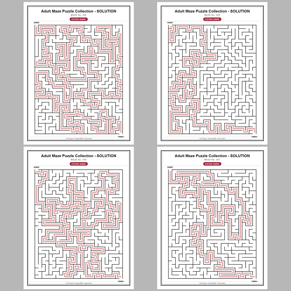 Maze Puzzle Extra Hard 250 Pages of Puzzles – Vol. 2