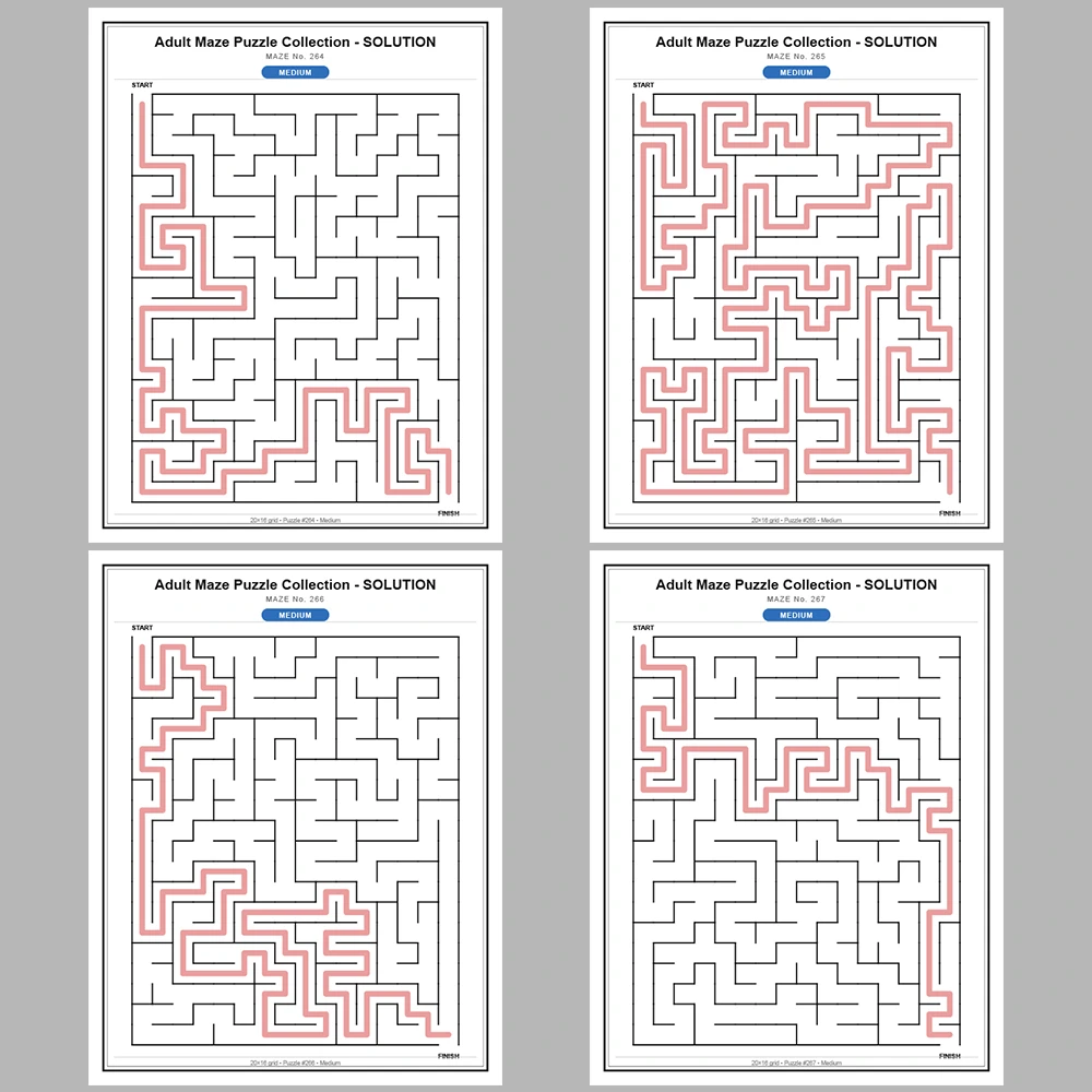Maze Puzzle Medium 250 Pages of Puzzles – Vol. 2