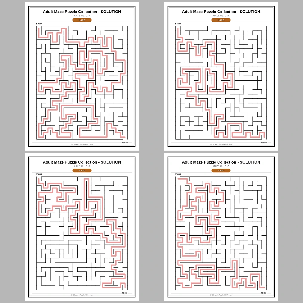 Maze Puzzle Hard 250 Pages of Puzzles – Vol. 1
