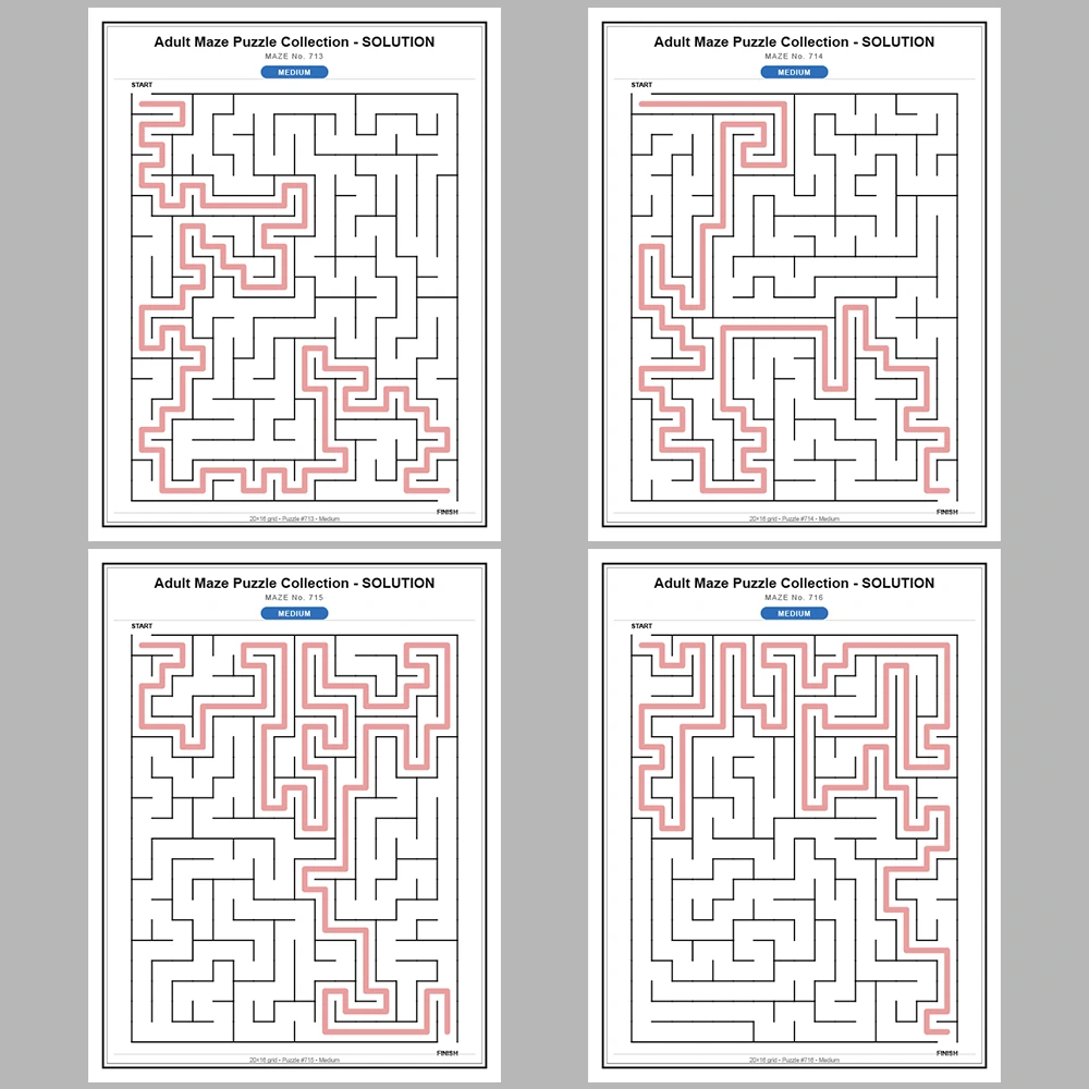 Maze Puzzle Medium 50 Pages of Puzzles – Vol. 15