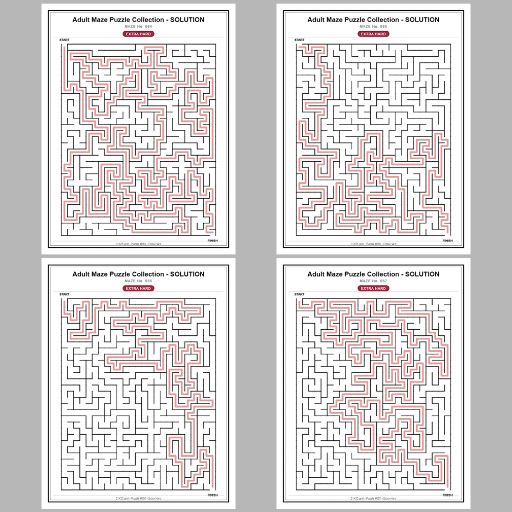 Maze Puzzle Extra Hard 50 Pages of Puzzles – Vol. 2