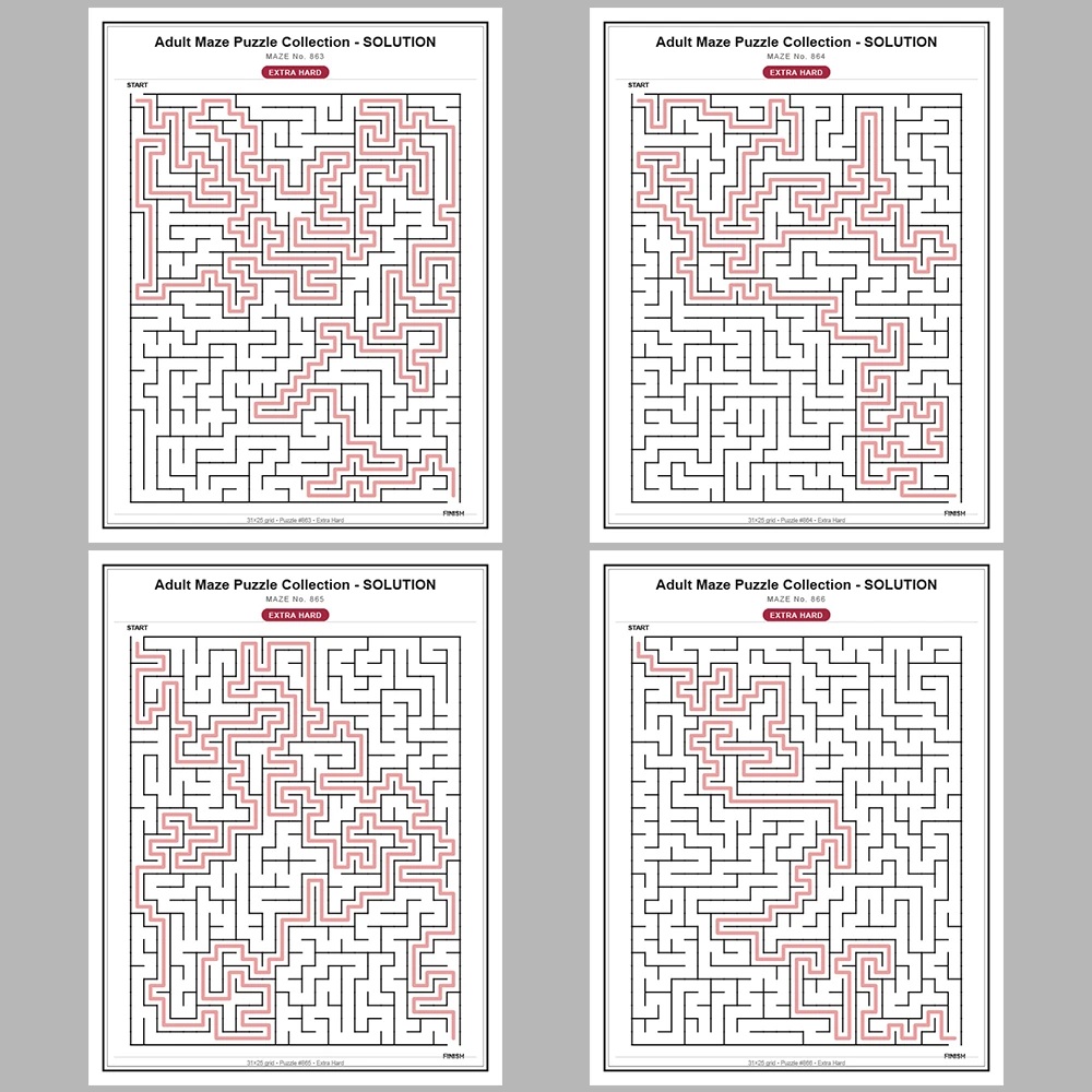 Maze Puzzle Extra Hard 50 Pages of Puzzles – Vol. 18