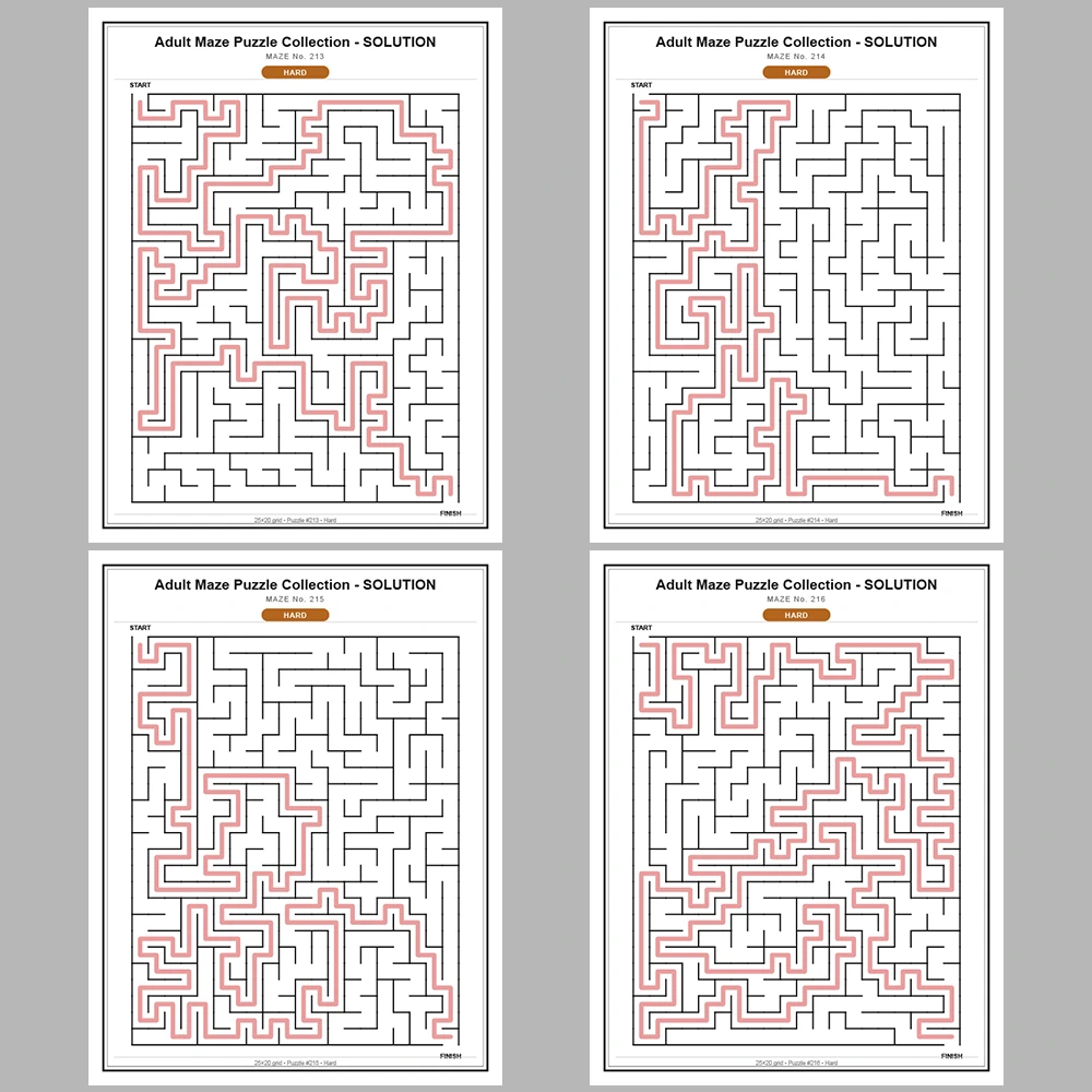 Maze Puzzle Hard 50 Pages of Puzzles – Vol. 5