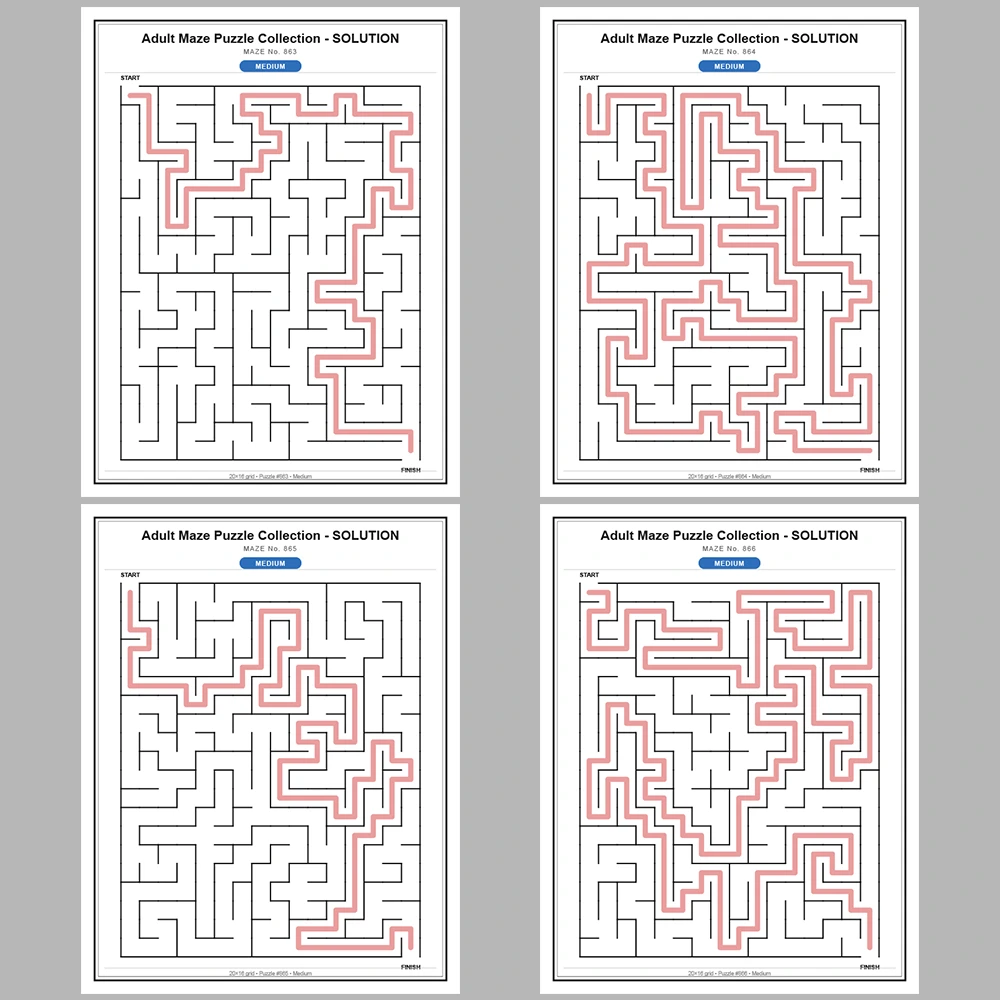 Maze Puzzle Medium 50 Pages of Puzzles – Vol. 18