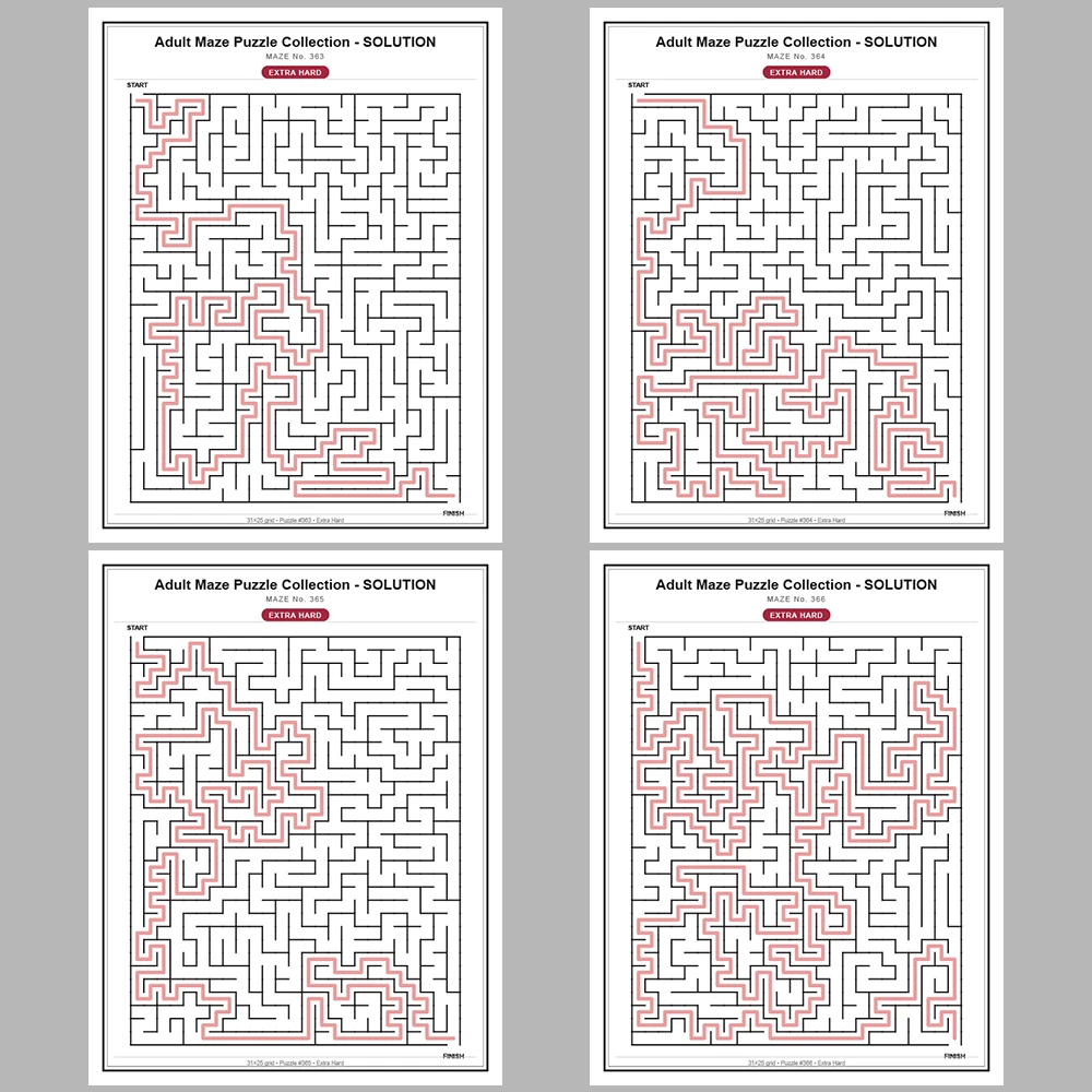 Maze Puzzle Extra Hard 50 Pages of Puzzles – Vol. 8