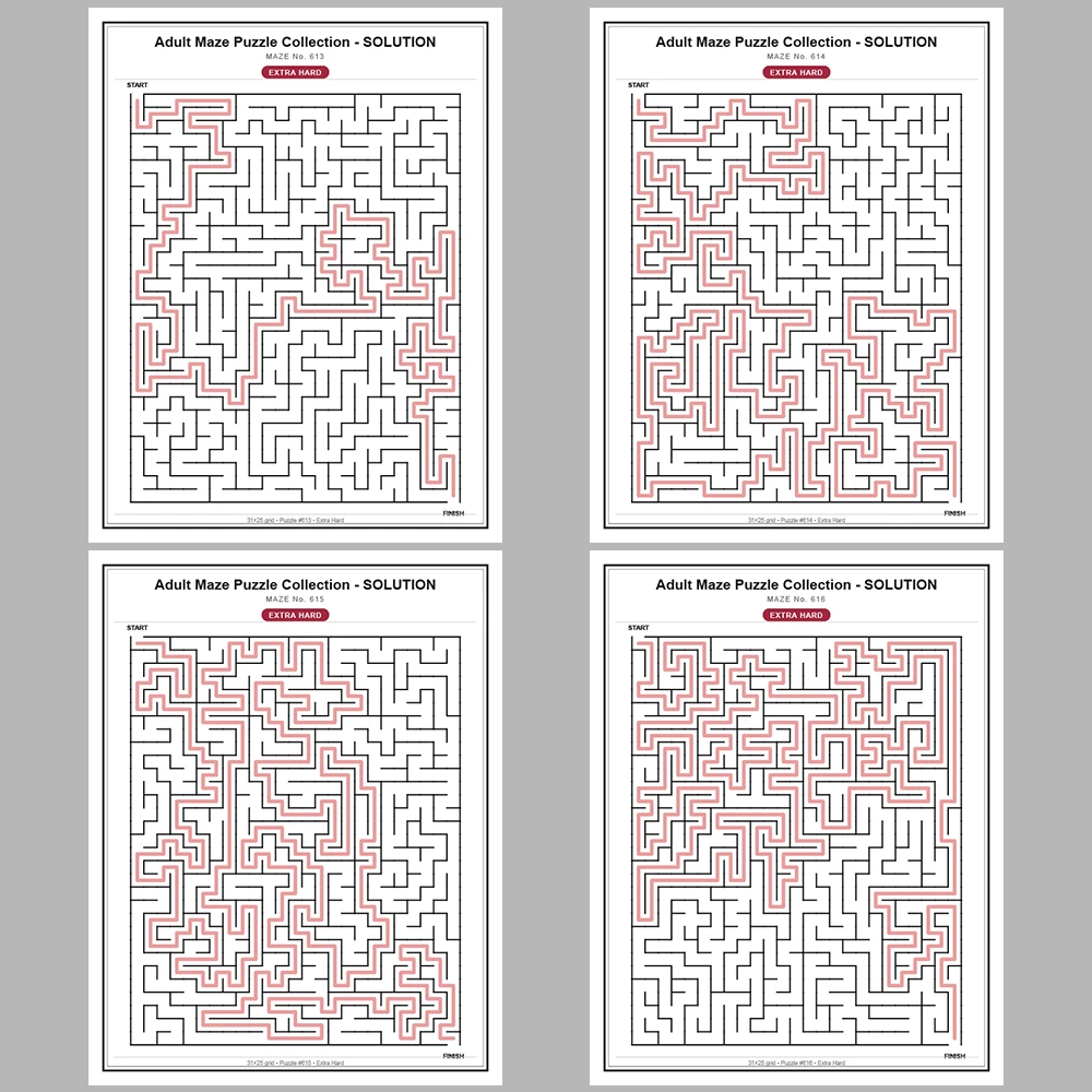 Maze Puzzle Extra Hard 50 Pages of Puzzles – Vol. 13