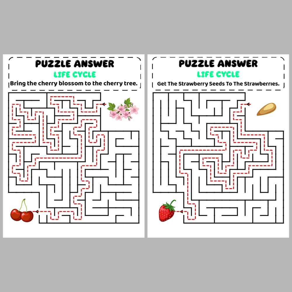 Life Cycle Kids Maze Puzzle 10 Pages of Puzzles