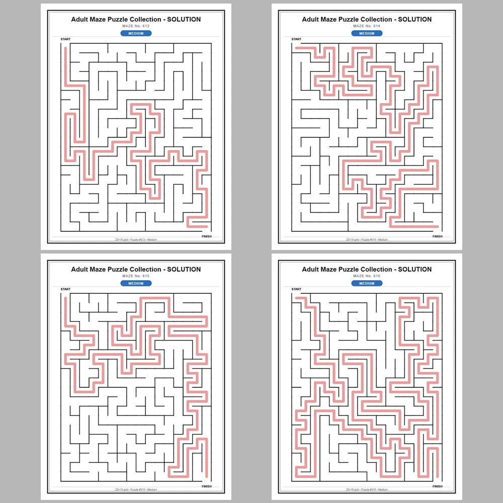 Maze Puzzle Medium 50 Pages of Puzzles – Vol. 13