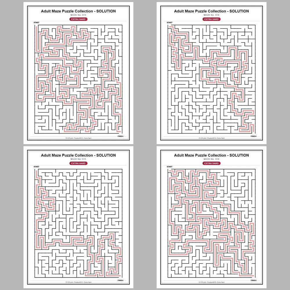 Maze Puzzle Extra Hard 50 Pages of Puzzles – Vol. 19