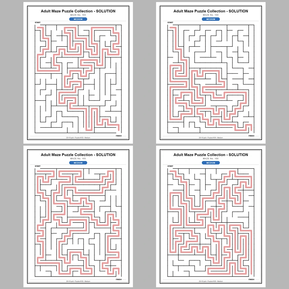Maze Puzzle Medium 50 Pages of Puzzles – Vol. 4