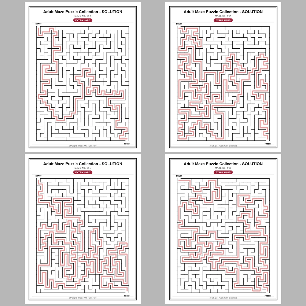 Maze Puzzle Extra Hard 50 Pages of Puzzles – Vol. 20