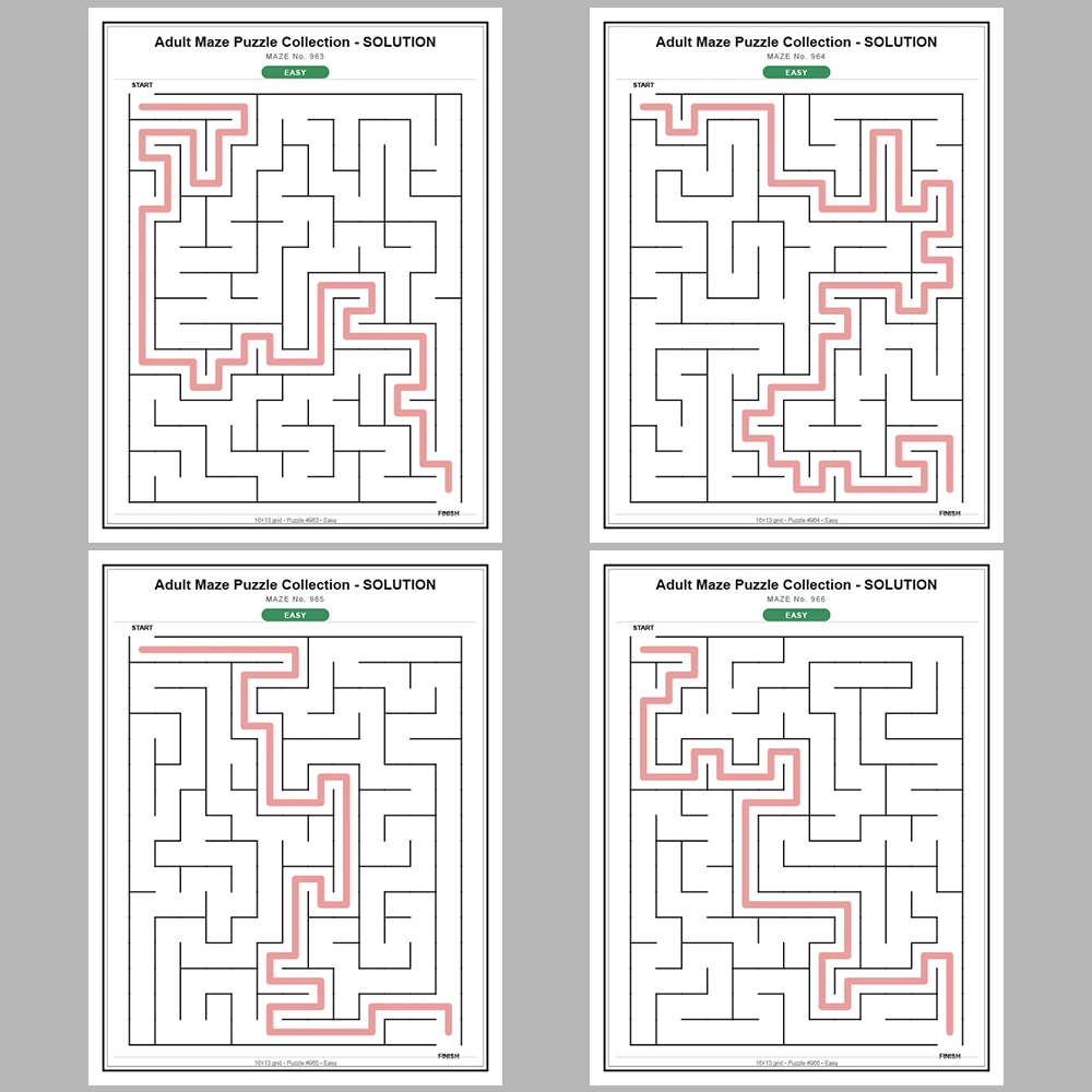 Maze Puzzle Easy 50 Pages of Puzzles – Vol. 20