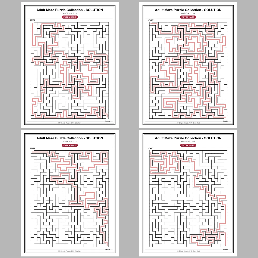 Maze Puzzle Extra Hard 50 Pages of Puzzles – Vol. 5