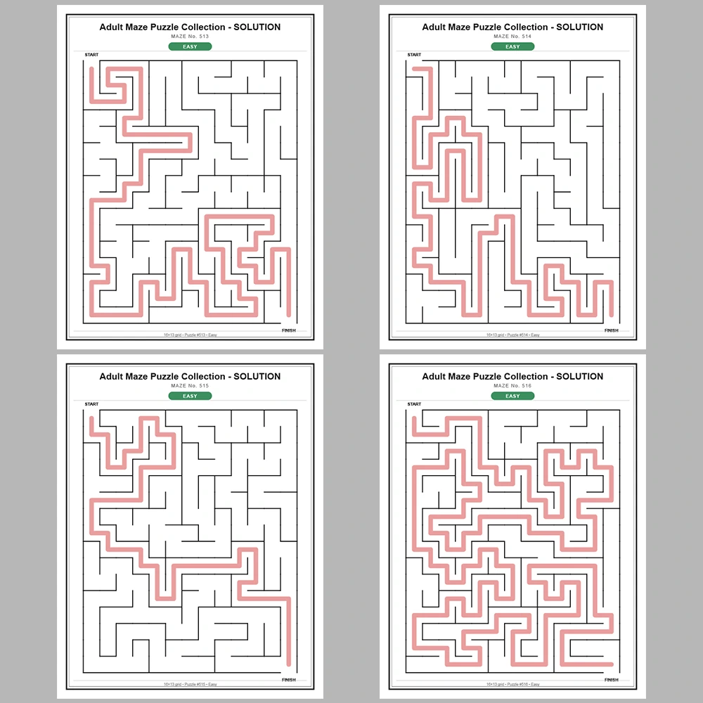 Maze Puzzle Easy 50 Pages of Puzzles – Vol. 11