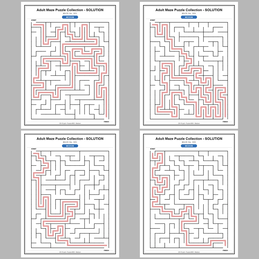 Maze Puzzle Medium 50 Pages of Puzzles – Vol. 20