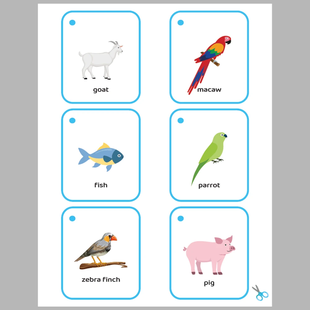 Animals 48 Flashcards