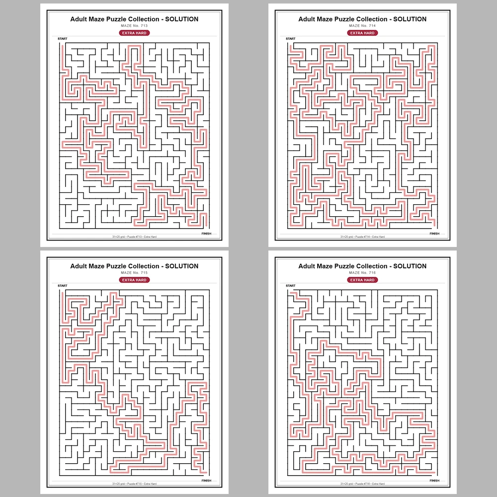 Maze Puzzle Extra Hard 50 Pages of Puzzles – Vol. 15