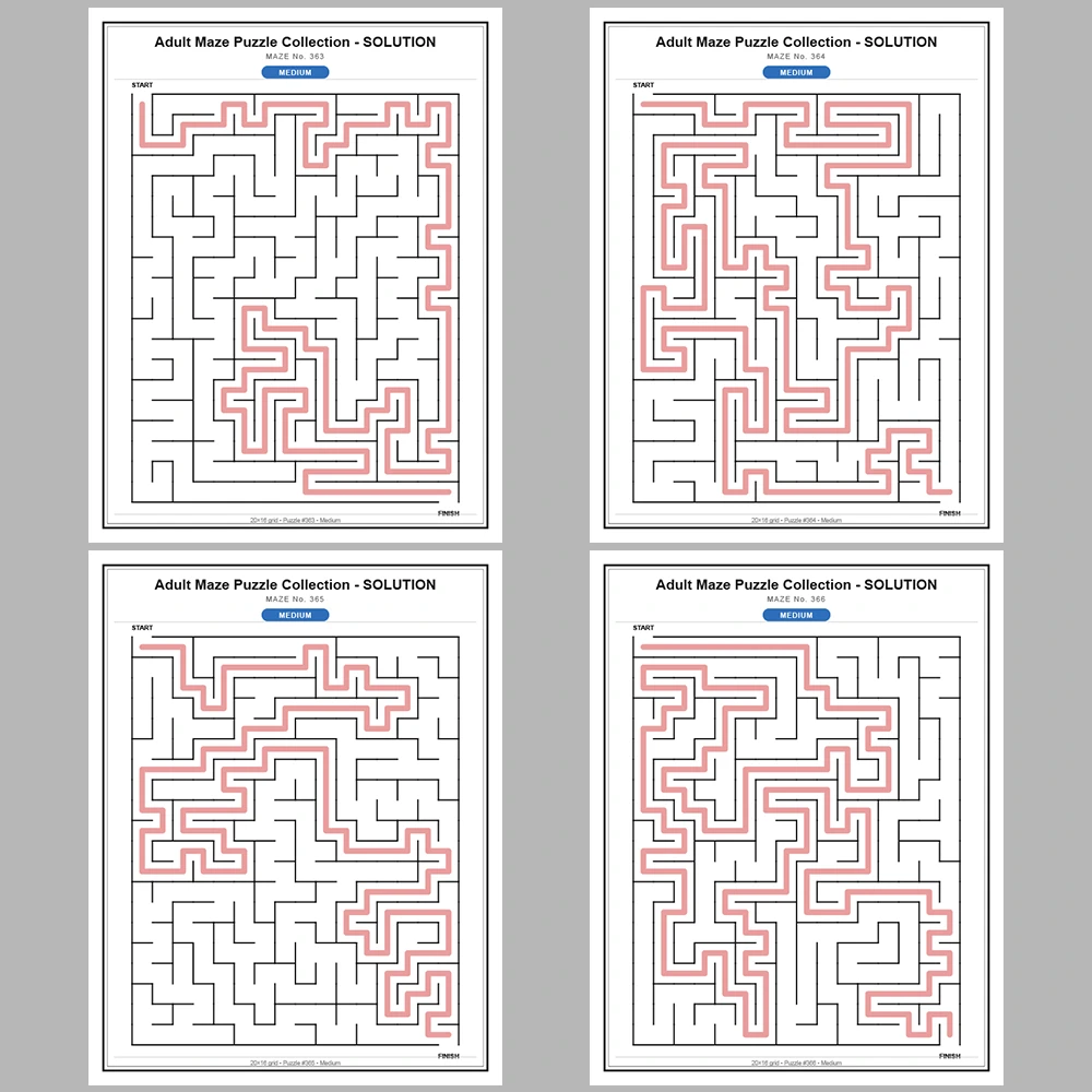 Maze Puzzle Medium 50 Pages of Puzzles – Vol. 8