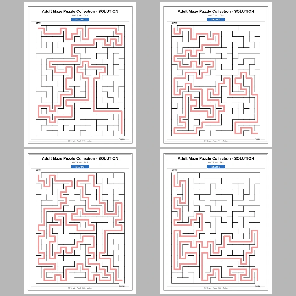 Maze Puzzle Medium 50 Pages of Puzzles – Vol. 14