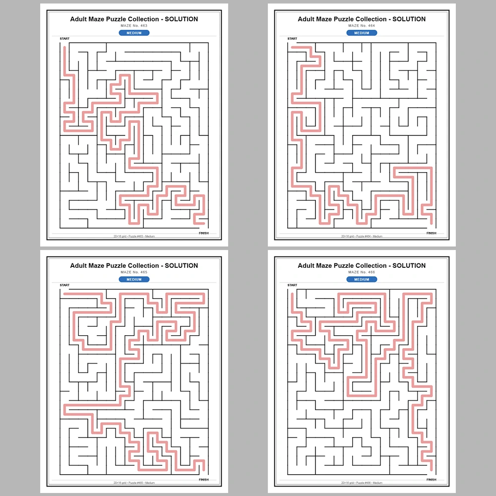 Maze Puzzle Medium 50 Pages of Puzzles – Vol. 10
