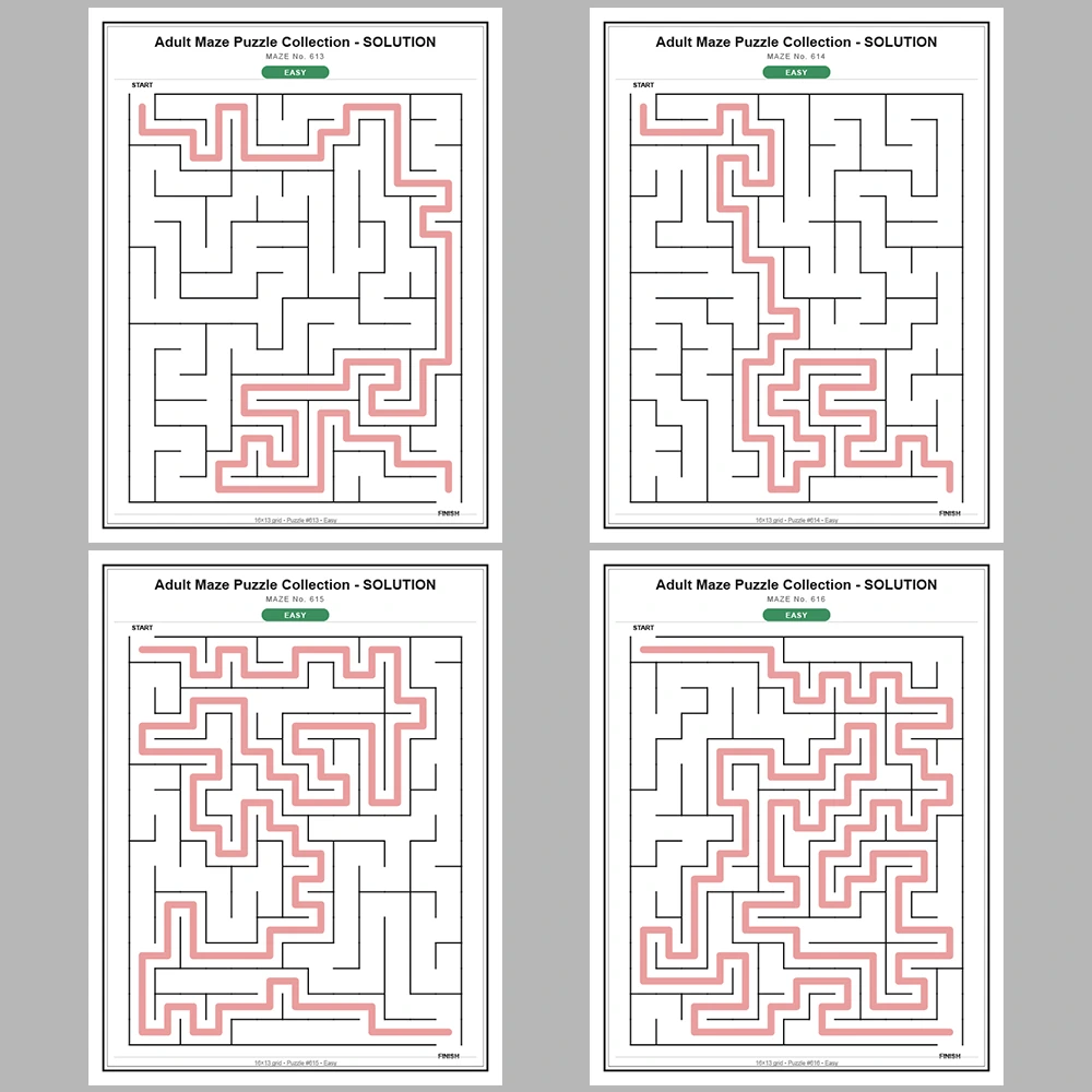 Maze Puzzle Easy 50 Pages of Puzzles – Vol. 13