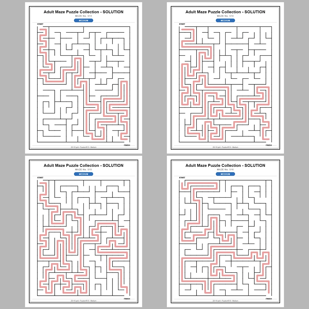 Maze Puzzle Medium 50 Pages of Puzzles – Vol. 11