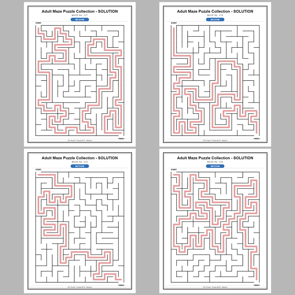 Maze Puzzle Medium 50 Pages of Puzzles – Vol. 5