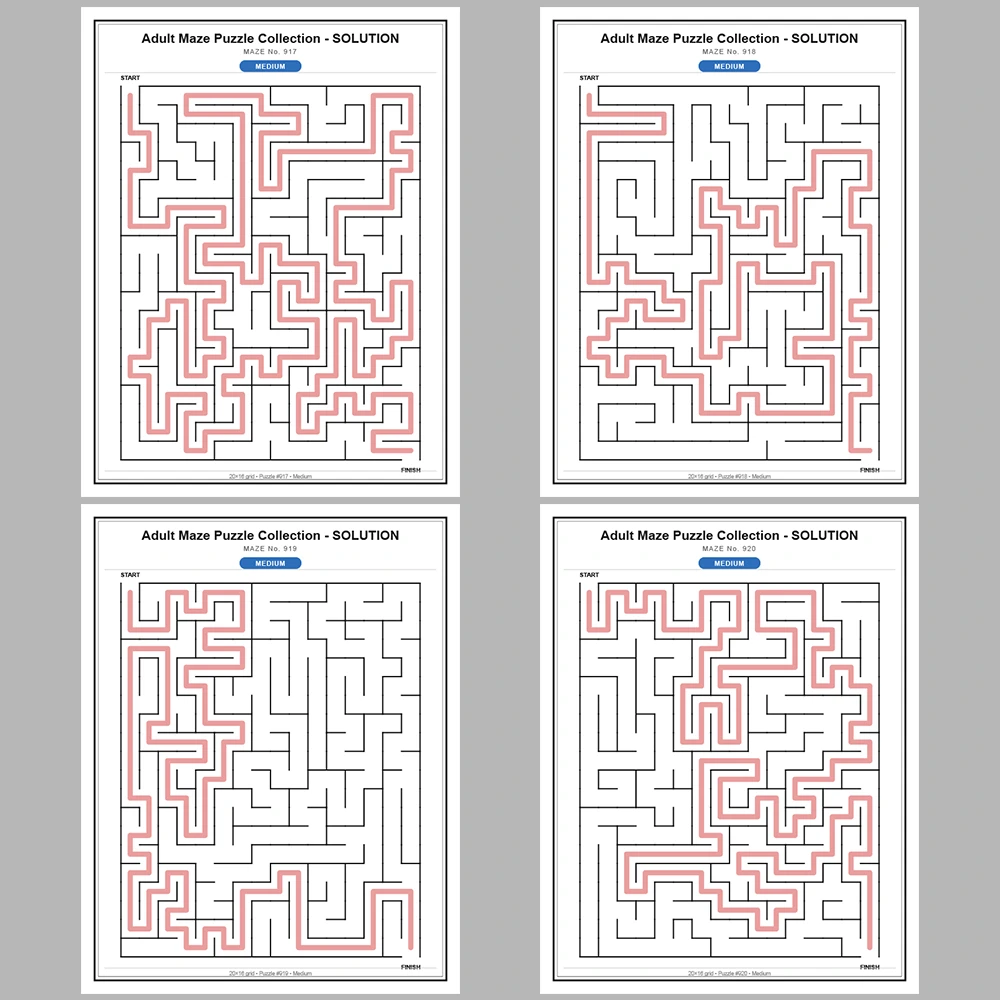 Maze Puzzle Medium 50 Pages of Puzzles – Vol. 19
