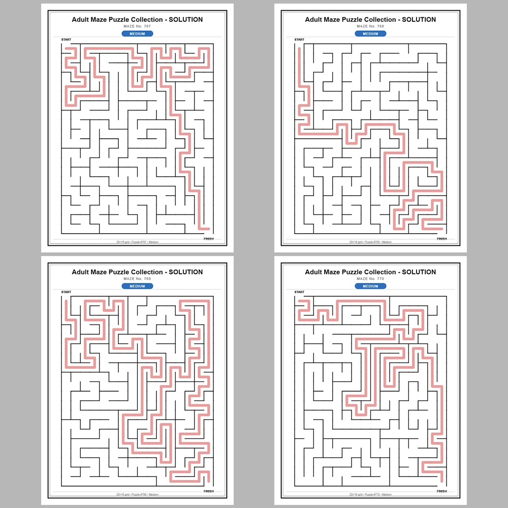 Maze Puzzle Medium 50 Pages of Puzzles – Vol. 16