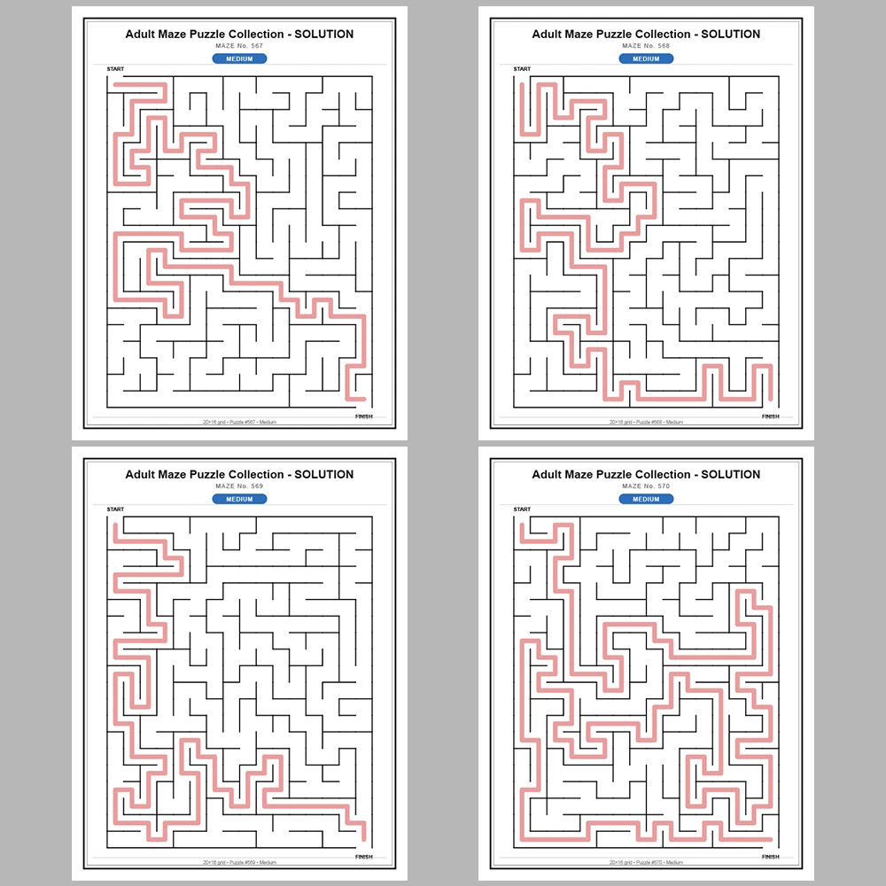 Maze Puzzle Medium 50 Pages of Puzzles – Vol. 12