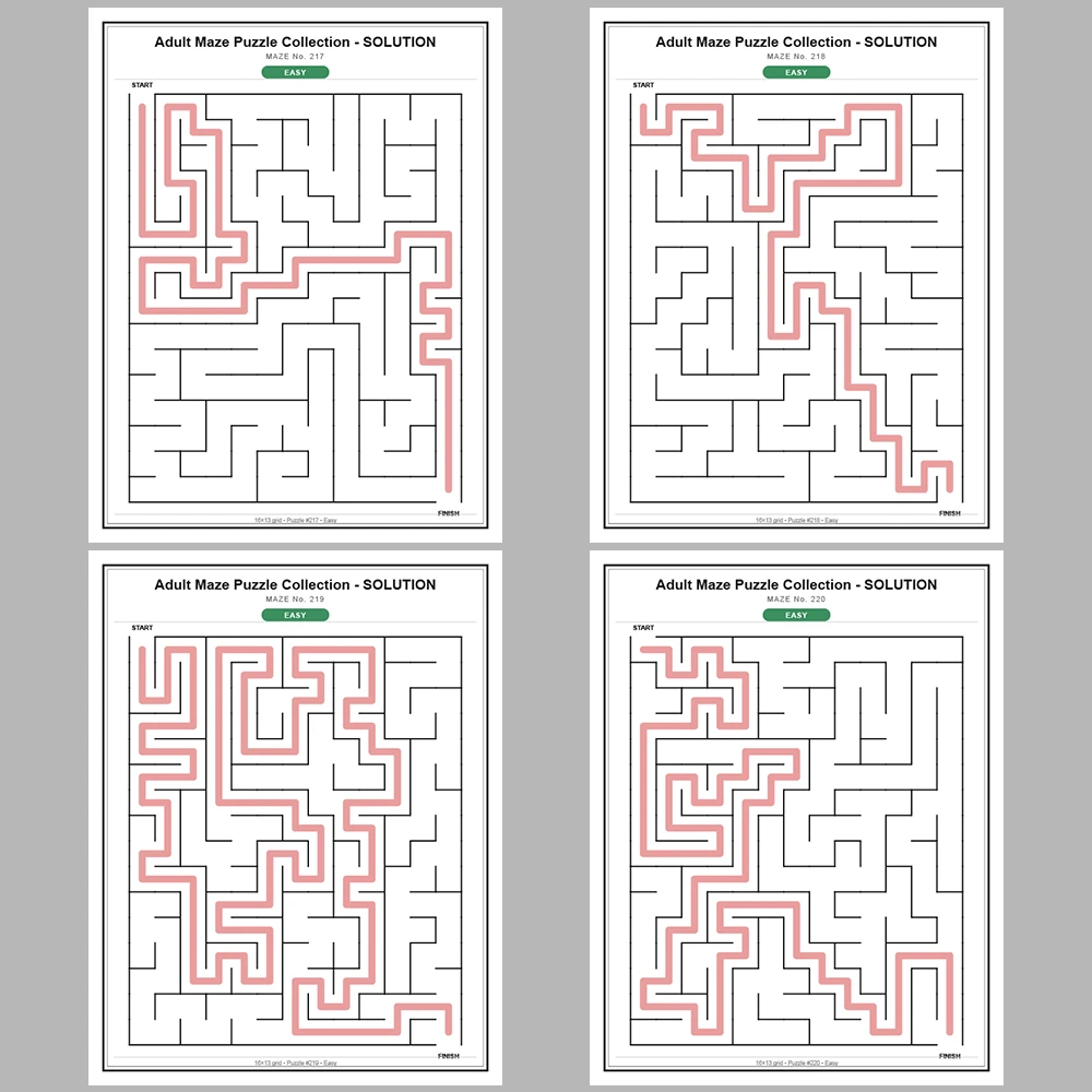 Maze Puzzle Easy 50 Pages of Puzzles – Vol. 5