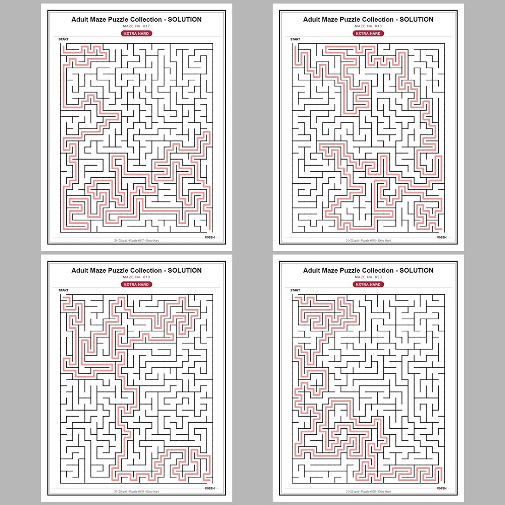 Maze Puzzle Extra Hard 50 Pages of Puzzles – Vol. 17