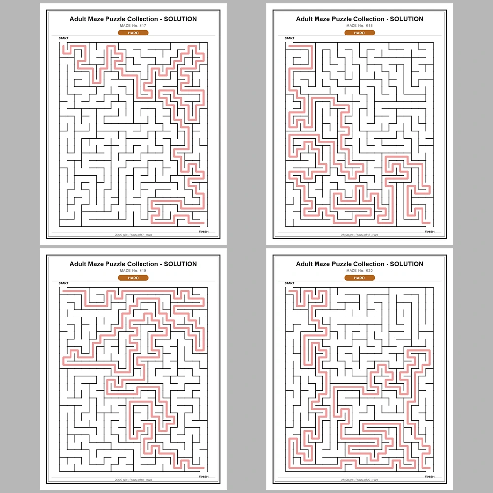 Maze Puzzle Hard 50 Pages of Puzzles – Vol. 13