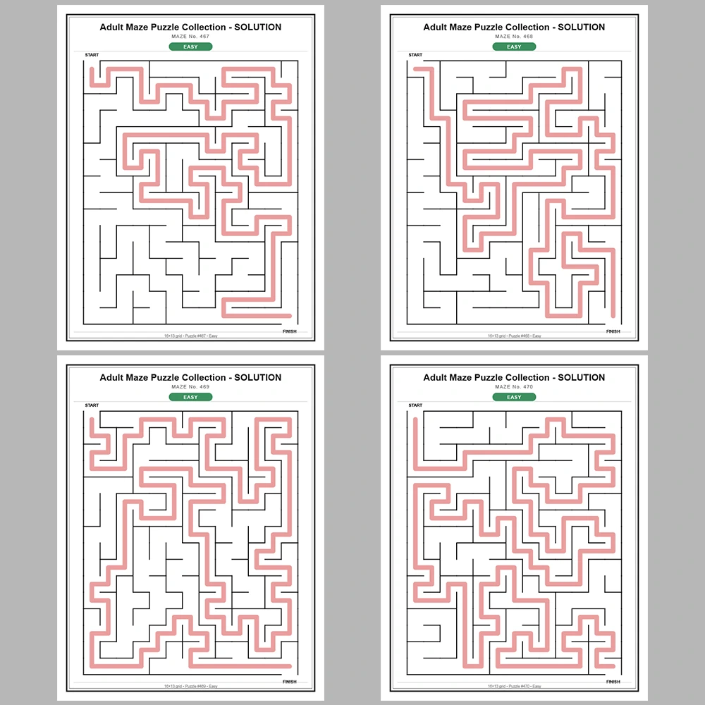 Maze Puzzle Easy 50 Pages of Puzzles – Vol. 10