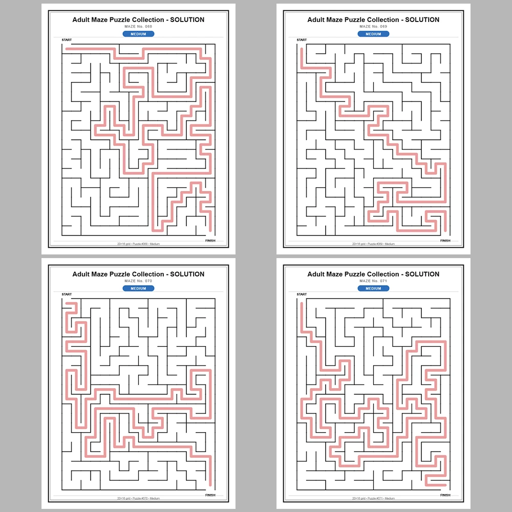 Maze Puzzle Medium 50 Pages of Puzzles – Vol. 2