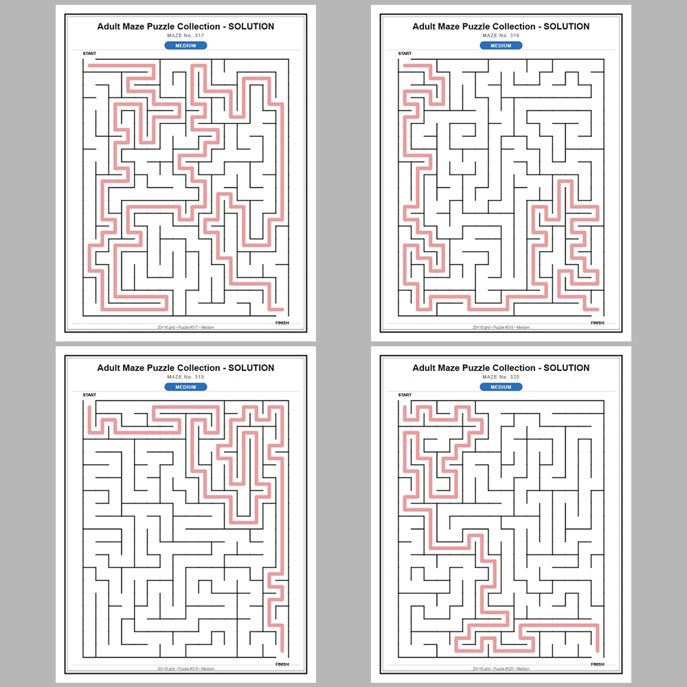 Maze Puzzle Medium 50 Pages of Puzzles – Vol. 7