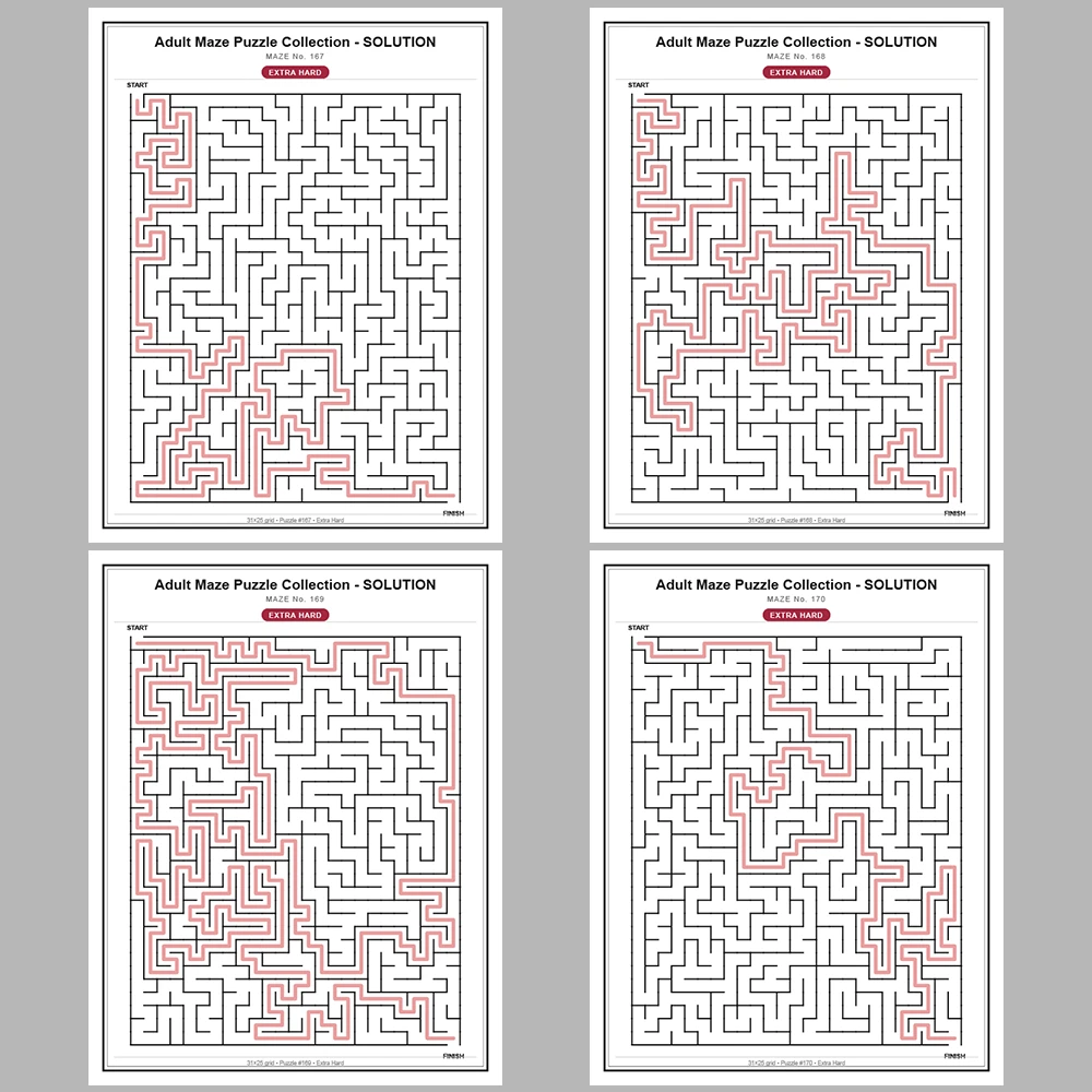 Maze Puzzle Extra Hard 50 Pages of Puzzles – Vol. 4