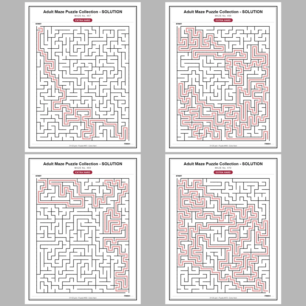 Maze Puzzle Extra Hard 50 Pages of Puzzles – Vol. 10