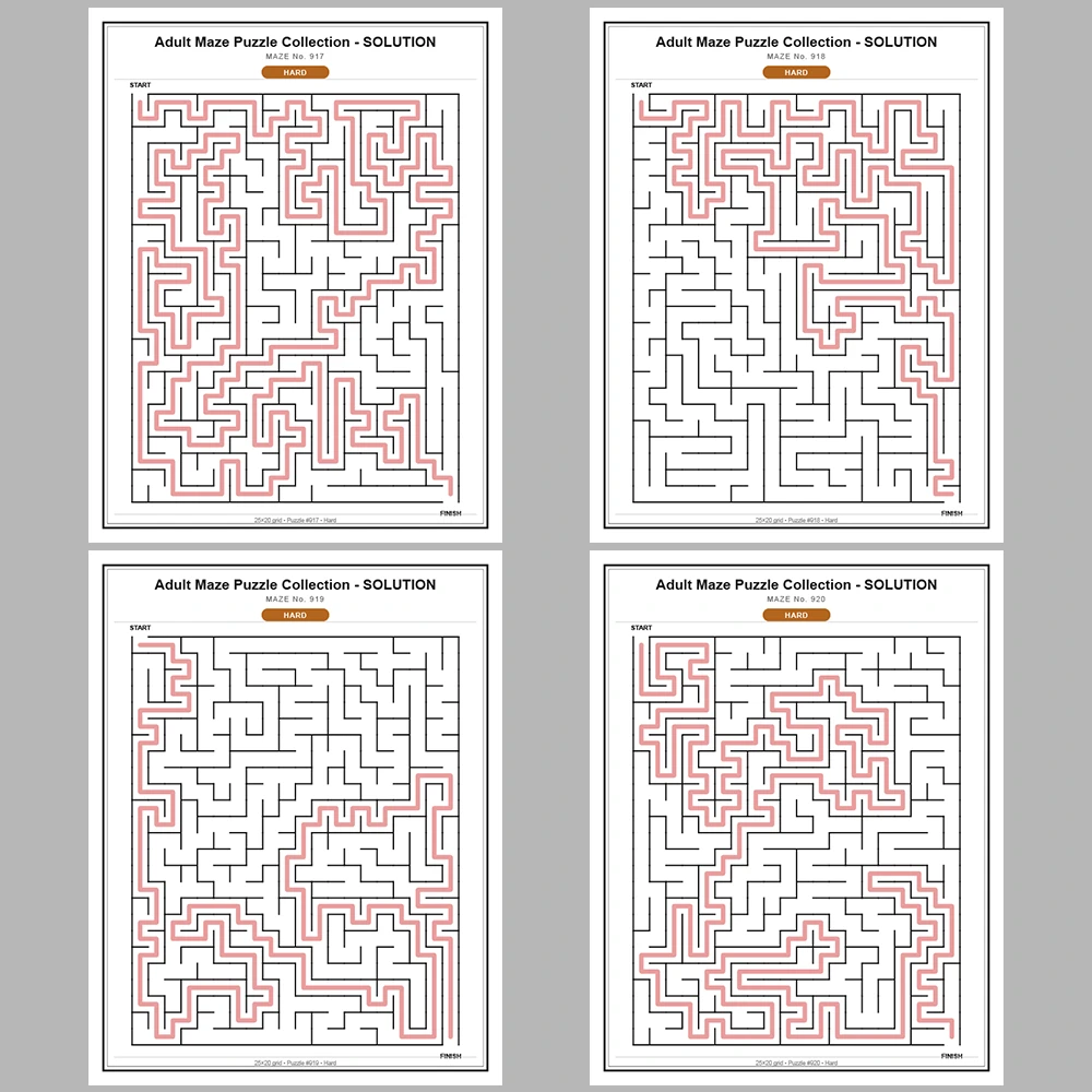 Maze Puzzle Hard 50 Pages of Puzzles – Vol. 19
