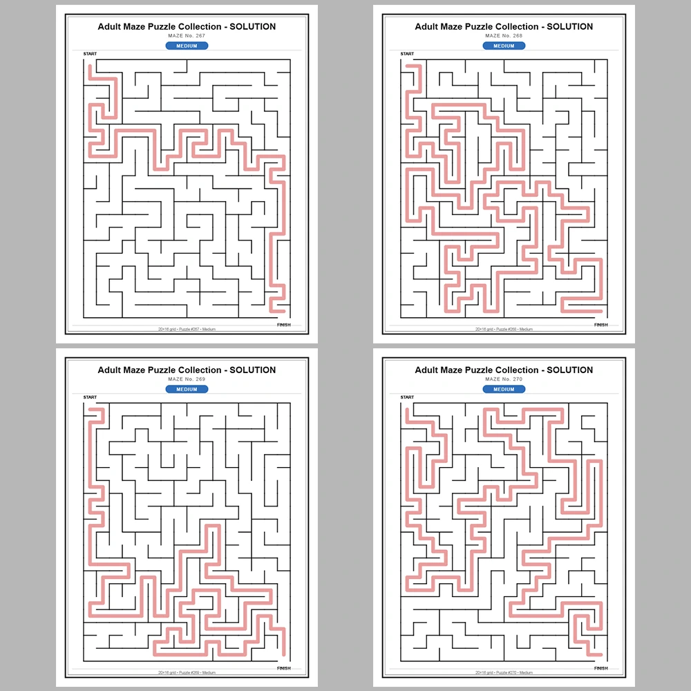 Maze Puzzle Medium 50 Pages of Puzzles – Vol. 6