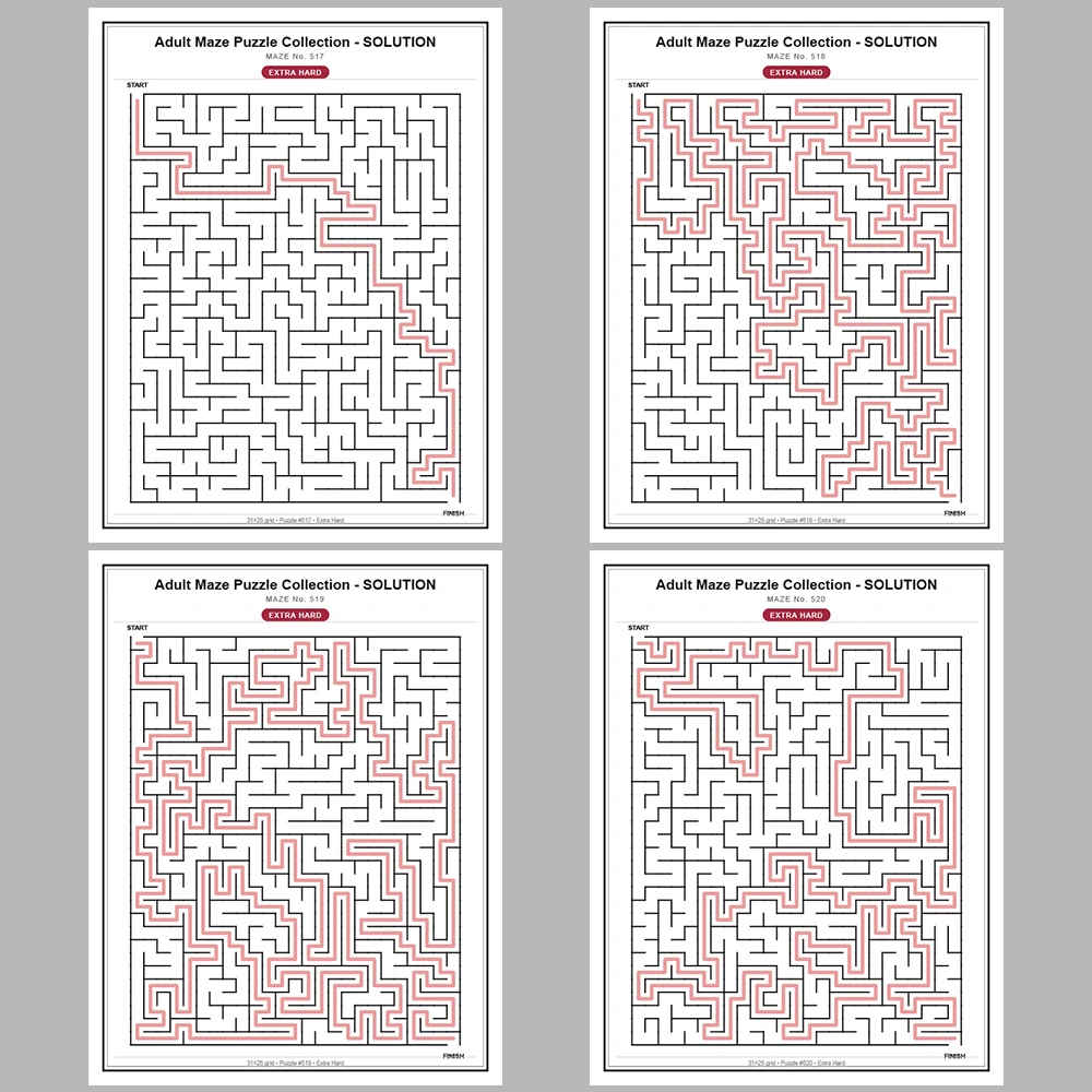 Maze Puzzle Extra Hard 50 Pages of Puzzles – Vol. 11