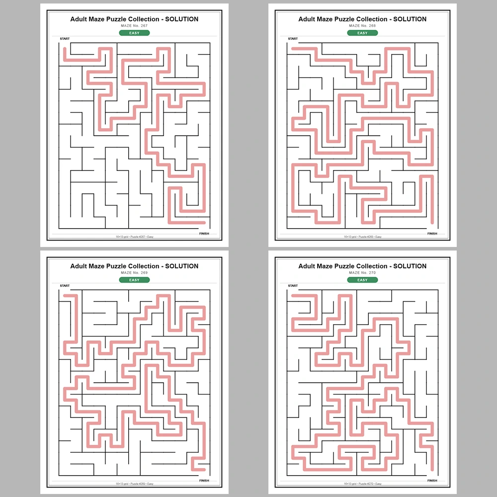 Maze Puzzle Easy 50 Pages of Puzzles – Vol. 6