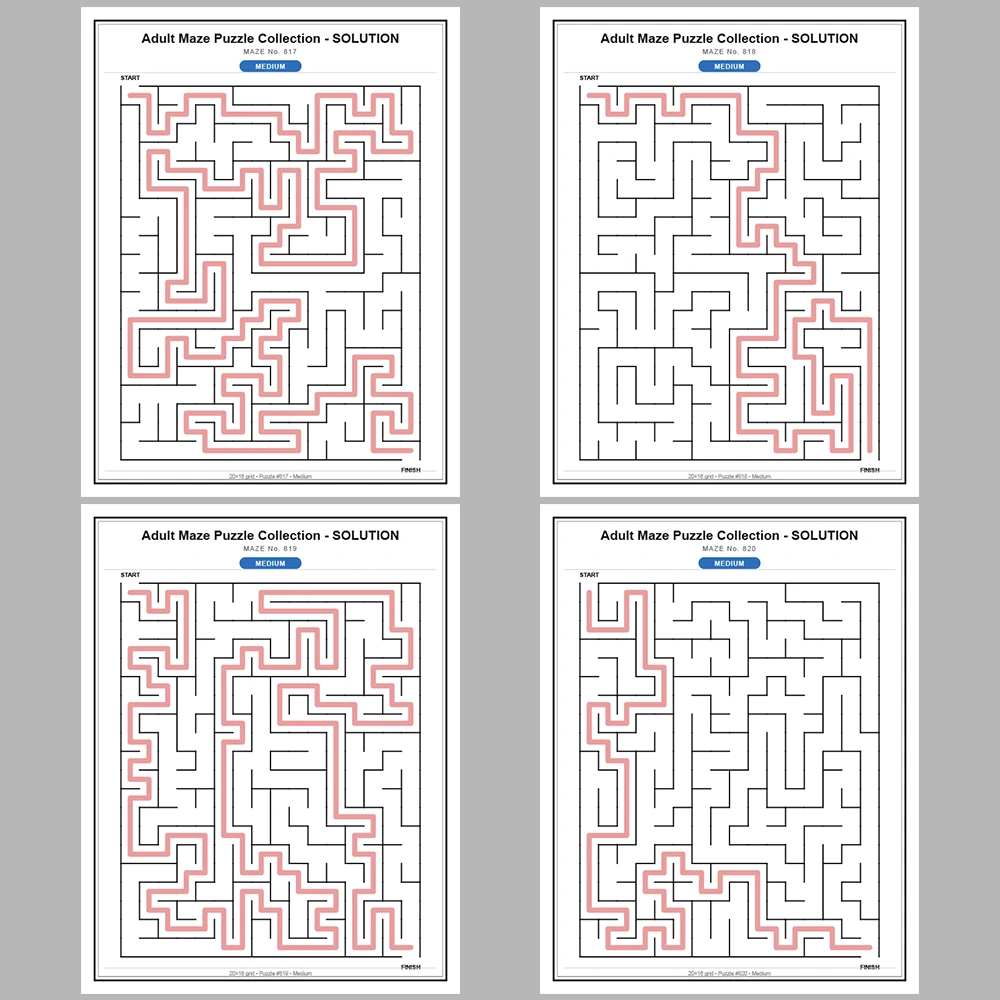 Maze Puzzle Medium 50 Pages of Puzzles – Vol. 17