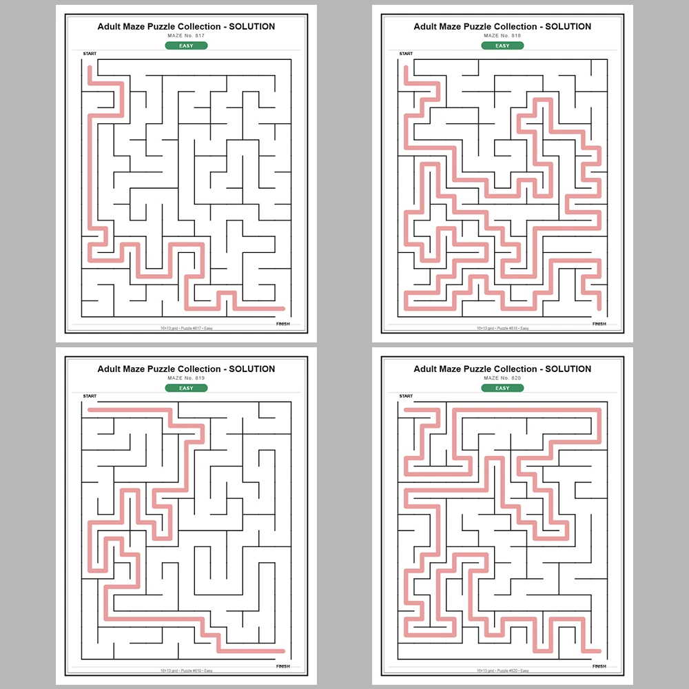 Maze Puzzle Easy 50 Pages of Puzzles – Vol. 17