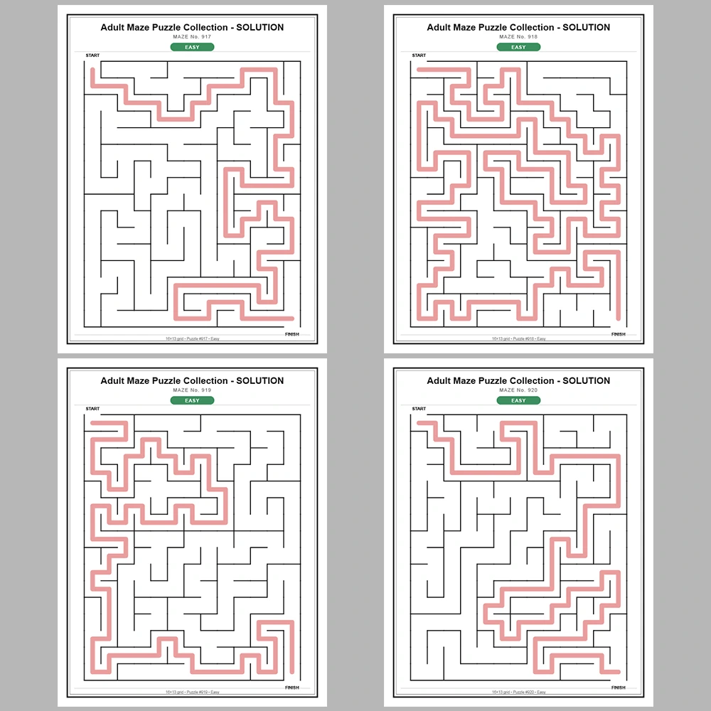 Maze Puzzle Easy 50 Pages of Puzzles – Vol. 19